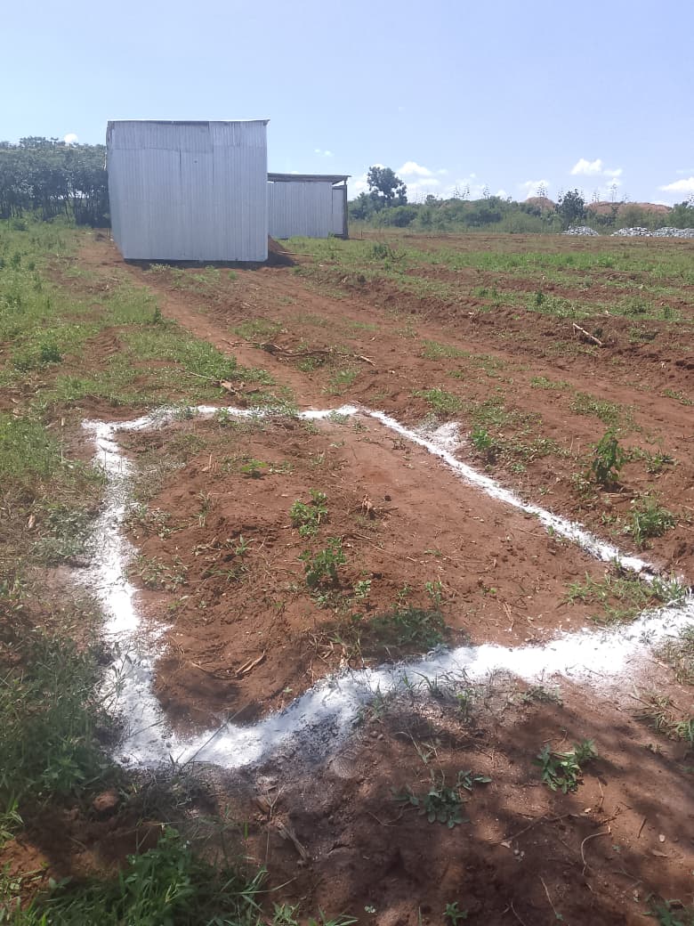 CIP Plant Construction, ELUTION and TSF- - Nyarugusu, Geita